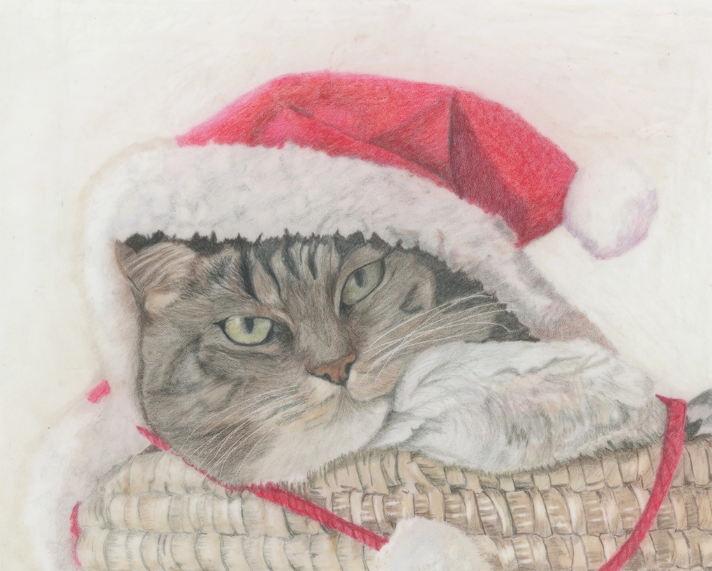 custom cat portrait in color pencil funny cat wearing Christmas hat sitting in basket by Jan Wallen