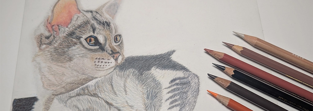 custom pet portrait by Jan Wallen artist